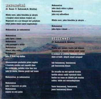 CD Aleš Brichta: American Bull