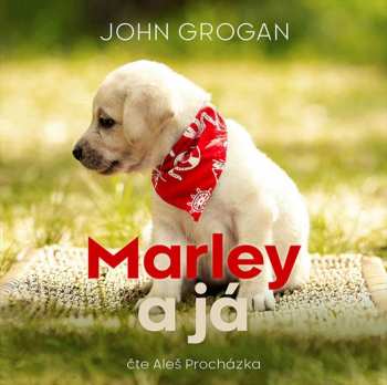 Album Aleš Procházka: Grogan: Marley A Já