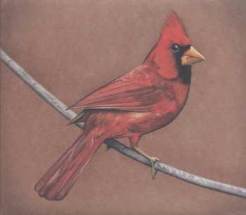 Album Alexisonfire: Old Crows / Young Cardinals