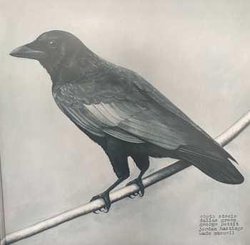 2LP Alexisonfire: Old Crows / Young Cardinals 443013
