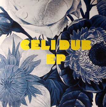 Album Alexkid: Celi Dub EP