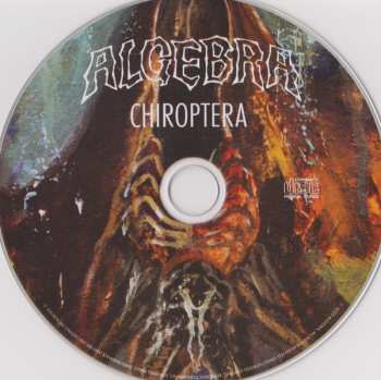 CD Algebra: Chiroptera 408715
