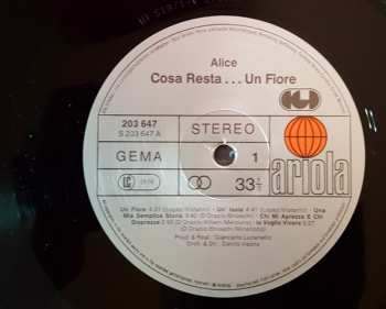 LP Alice: Cosa Resta....Un Fiore