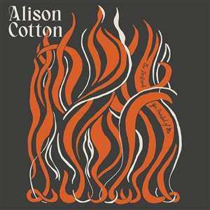 LP Alison Cotton: The Portrait You Painted Of Me CLR | LTD 496600