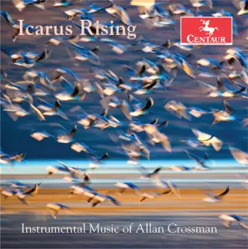 Icarus Rising