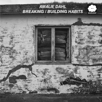 Amalie Dahl: Breaking / Building Habits