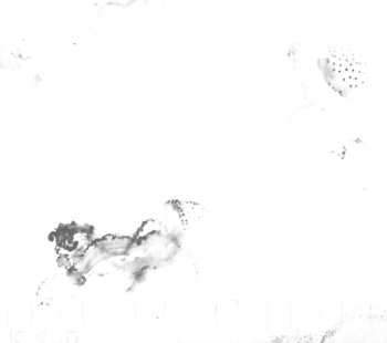 CD Amaral: Nocturnal (Solar Sessions)