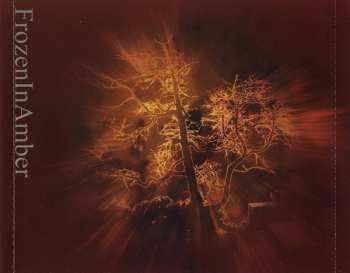 CD Amber Asylum: Frozen In Amber