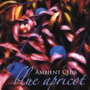 Ambient Club: Blue Apricot