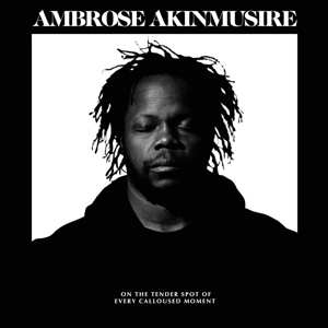 LP Ambrose Akinmusire: On The Tender Spot Of Every Calloused Moment 348274