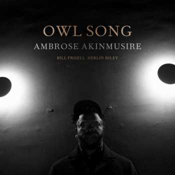 LP Ambrose Akinmusire: Owl Song 521353