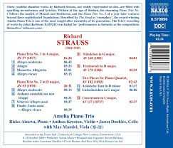 CD Amelia Piano Trio: Richard Strauss Piano Trios Nos. 1 And 2 - Works For Pİano Quartet - Amelia Piano Trio - Max Mandel, Viola 326745