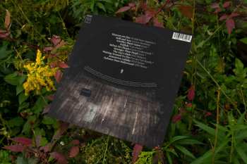 LP Amigo The Devil: Covers Demos Live Versions and B-Sides LTD 146051