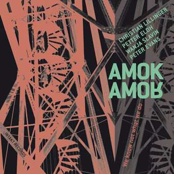 Album Amok Amor: We Know Not What We Do