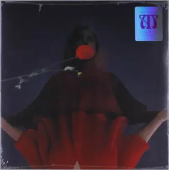 Amy Millan: I Went To Find You