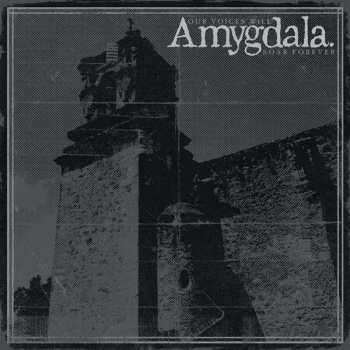 CD Amygdala: Our Voices Will Soar Forever 103653