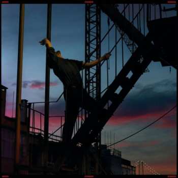 LP Andrea Bignasca: Stranger Ltd.