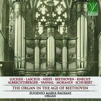 Andrea Lucchesi: The Organ In The Age Of Beethoven