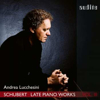 Album Andrea Lucchesini: Late Piano Works Vol III