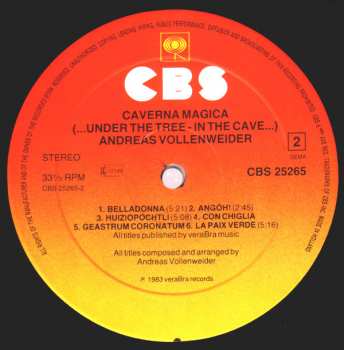 LP Andreas Vollenweider: Caverna Magica (...Under The Tree - In The Cave...) 335909