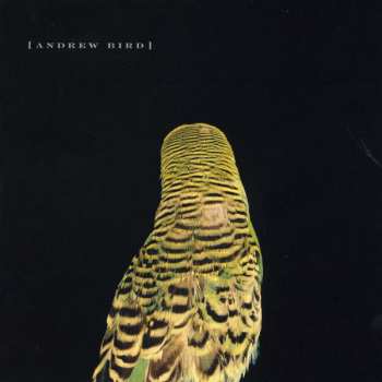 Album Andrew Bird: Armchair Apocrypha