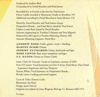 CD Andrew Bird: Break It Yourself