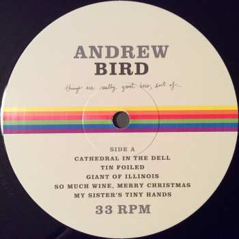 LP Andrew Bird: Things Are Really Great Here, Sort Of... 70956