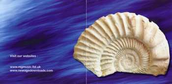 CD Andrew Kinsella: Evolution