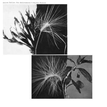 Album Andrew Pekler: New Environments & Rhythm Studies