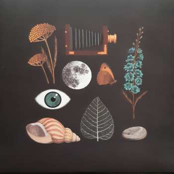 LP Andrew Wasylyk: Hearing The Water Before Seeing The Falls CLR