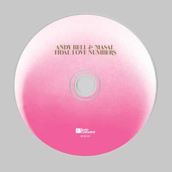 CD Andy Bell: Tidal Love Numbers 523255