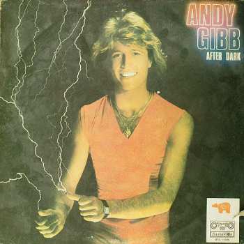 LP Andy Gibb: After Dark 417402