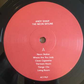 LP Andy Shauf: The Neon Skyline