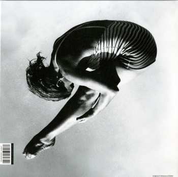 2LP Andy Stott: Luxury Problems