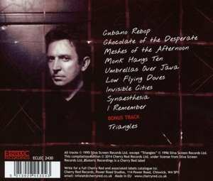 CD Andy Summers: Synaesthesia