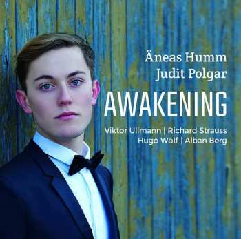 Album Äneas Humm: Awakening