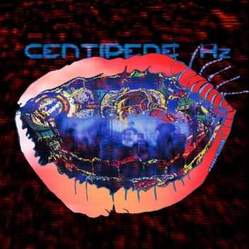 2LP Animal Collective: Centipede Hz 6676