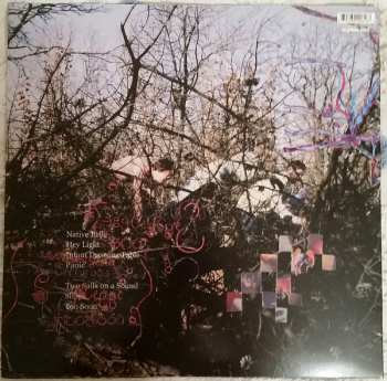 LP Animal Collective: Here Comes The Indian 70569