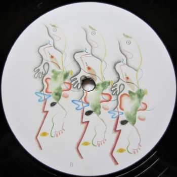 LP Animal Collective: The Painters 77309