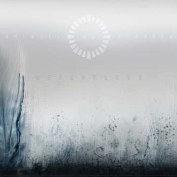 Animals As Leaders: Weightless