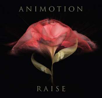 Album Animotion: Raise