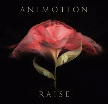 Animotion: Raise