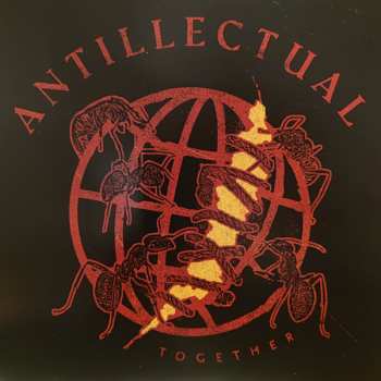 LP Antillectual: Together CLR