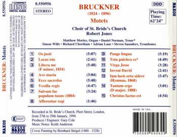 CD Anton Bruckner: Motets 314392