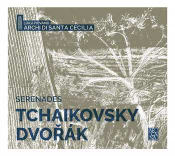 Album Antonín Dvořák: Serenade Für Streicher Op. 22