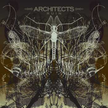 CD Architects: Ruin 31160