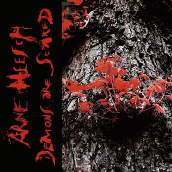 Album Arne Heesch: Demons Are Scared