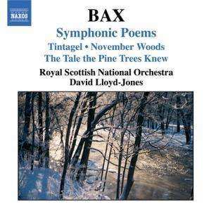 Album Arnold Bax: Symphonic Poems. Tintagel. November Woods. The Tale The Pine Trees Knew