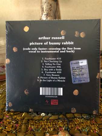 CD Arthur Russell: Picture Of Bunny Rabbit 455117