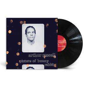 LP Arthur Russell: Picture Of Bunny Rabbit 463555